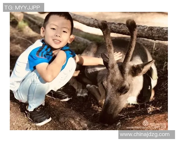 对话杨芳：回顾她的足球生涯与成长历程的深度访谈